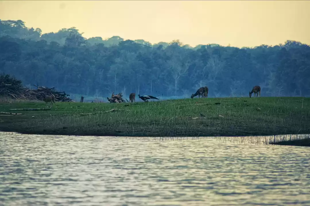 Photo of Bangalore to Kabini 