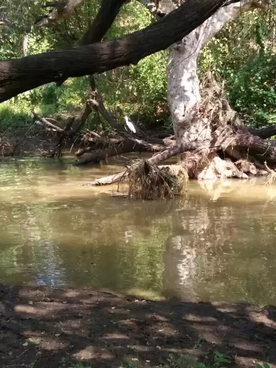 Photo of Expect the unexpecte