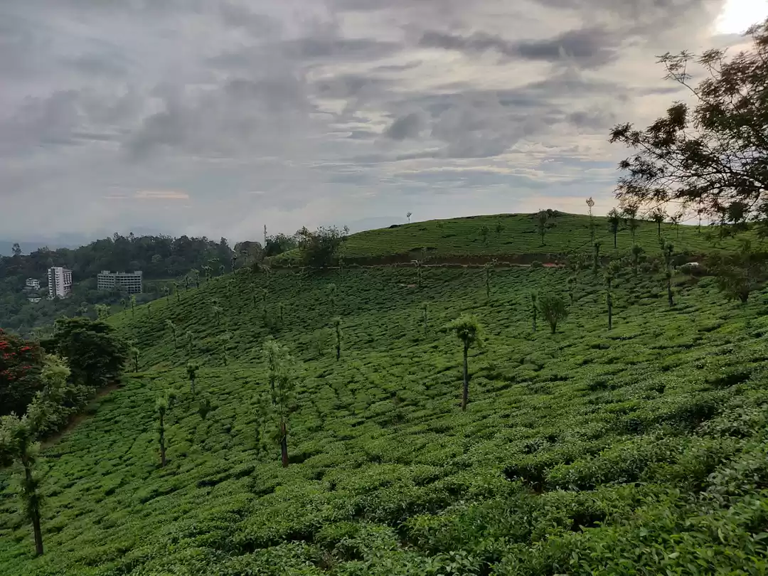 Photo of Visiting God's own c