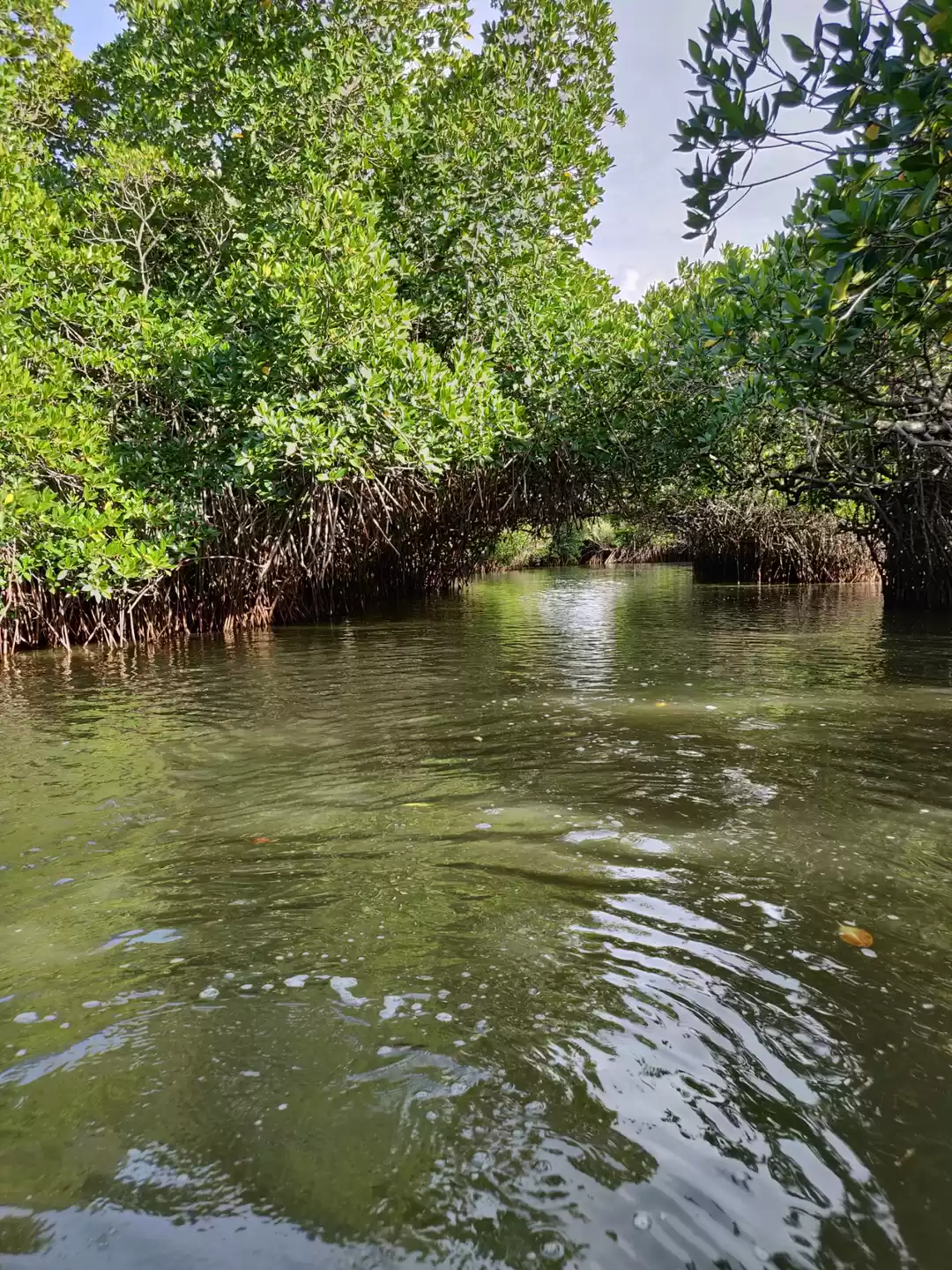 Photo of Unexplored & Beautif