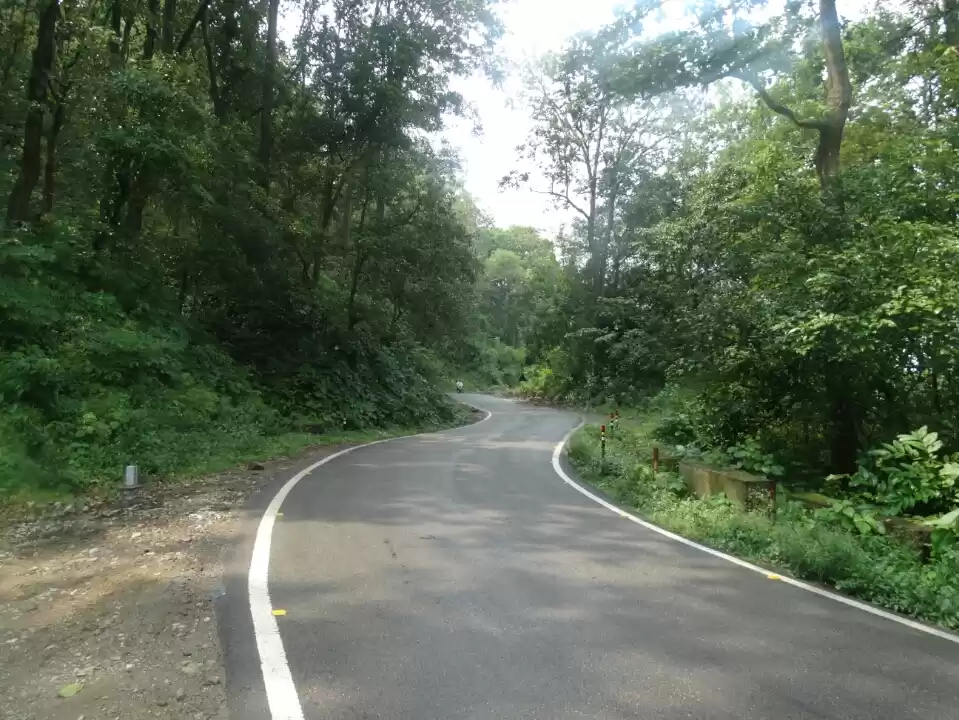 Photo of Love for "Road-trips