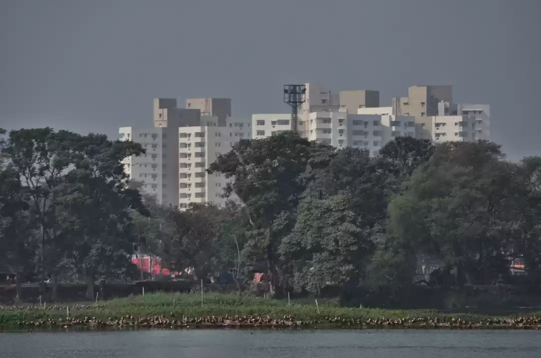 Photo of Diary 3: Santragachi