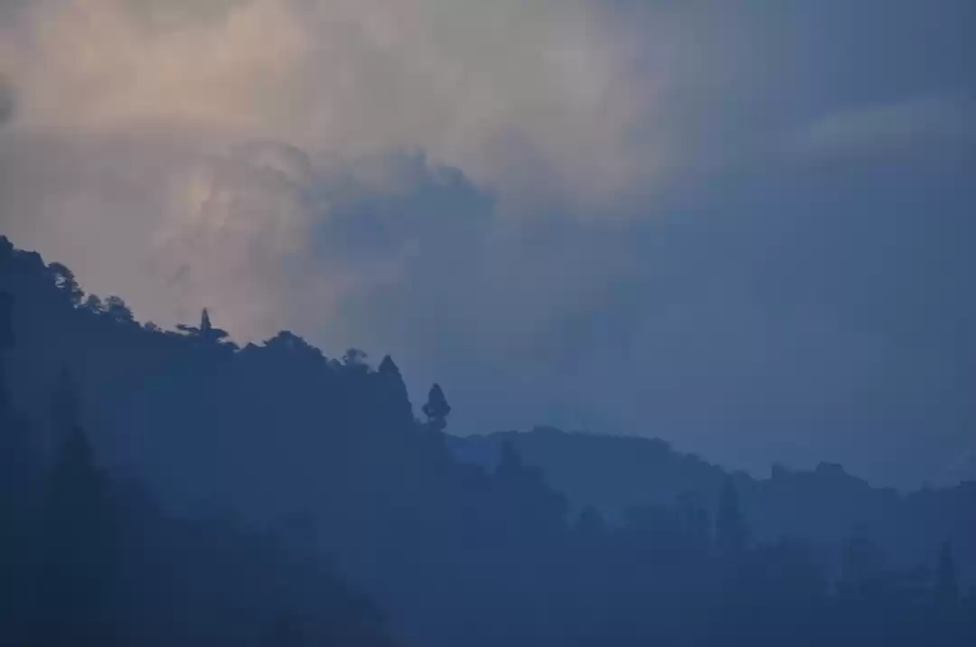 Photo of Diary 1: Sandakphu, 