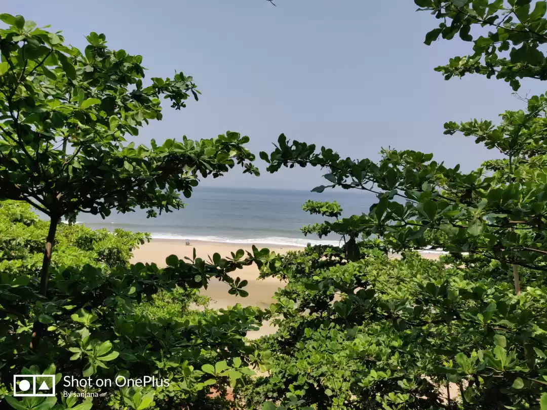 Photo of The beach with a cli