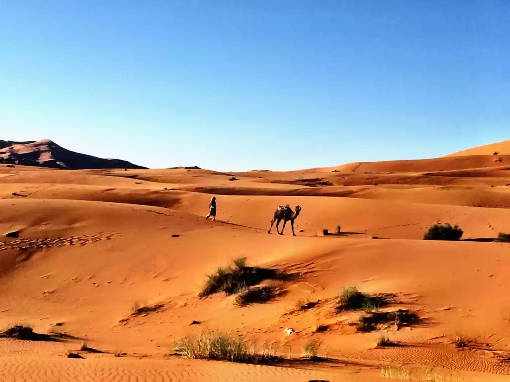 Photo of Sleeping Under The S