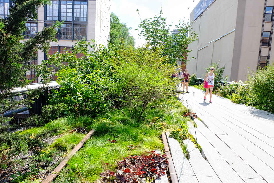 Photo of 10 Pro Tips for the International Family Visiting the US