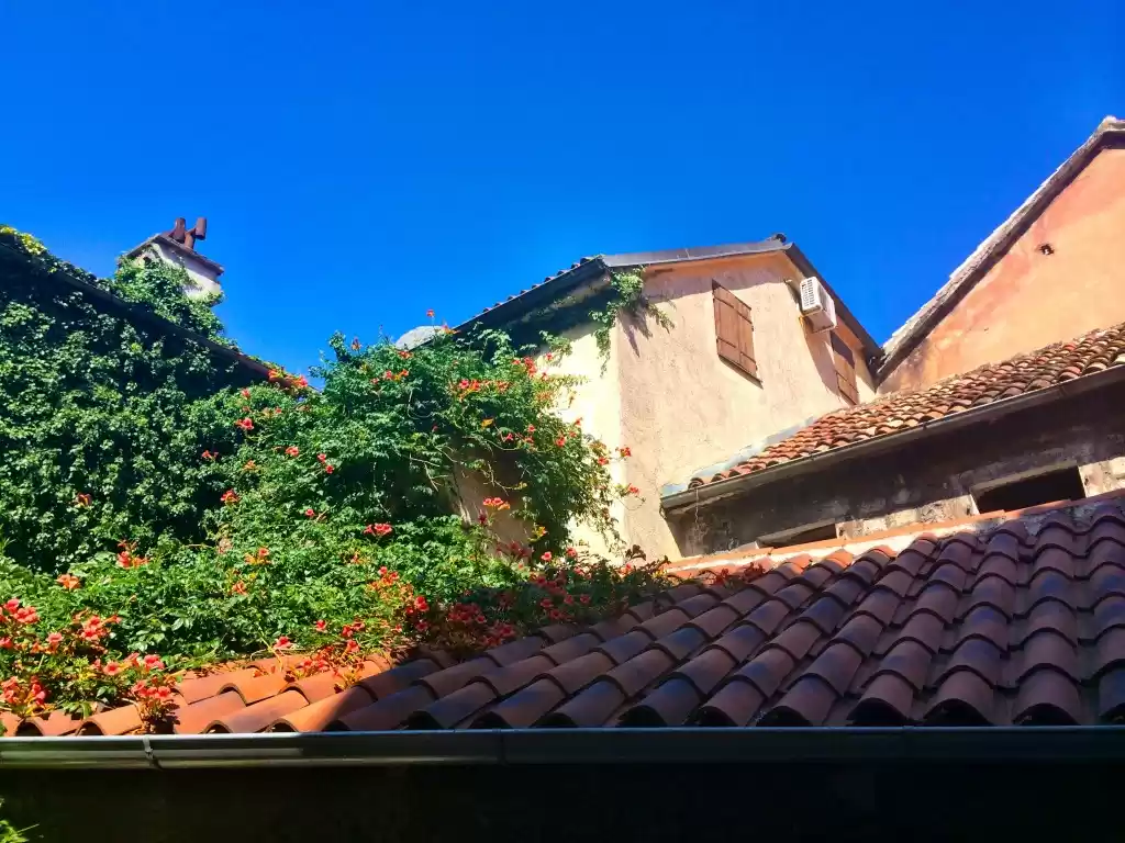 Photo of Kotor, Montenegro: A