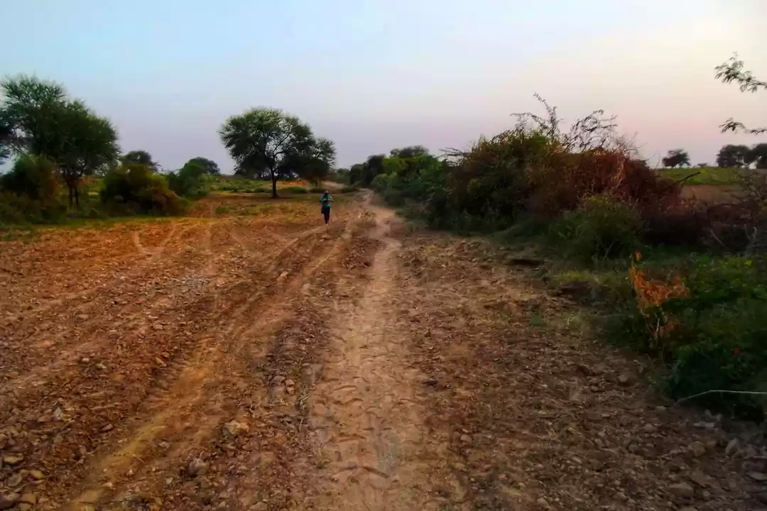 Photo of What is Inside the F