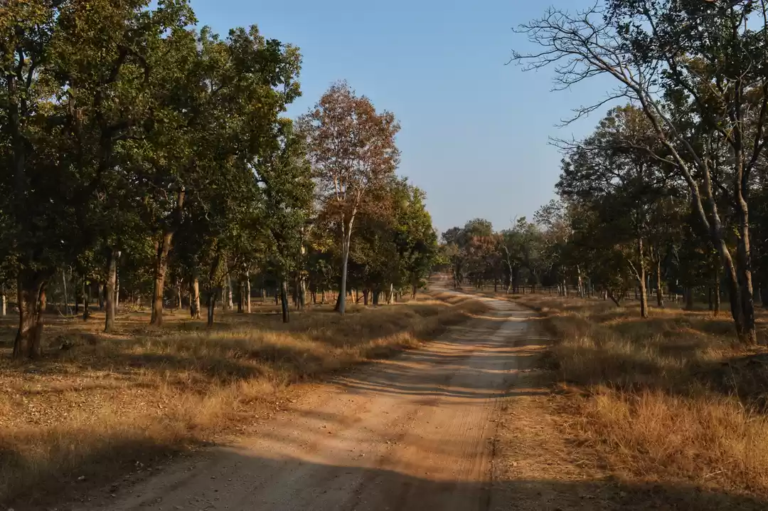 Photo of Another Reason to Vi