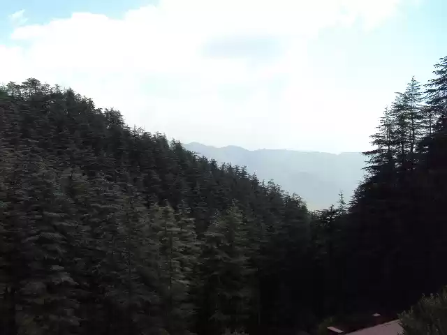 Photo of Shimla - The Queen o