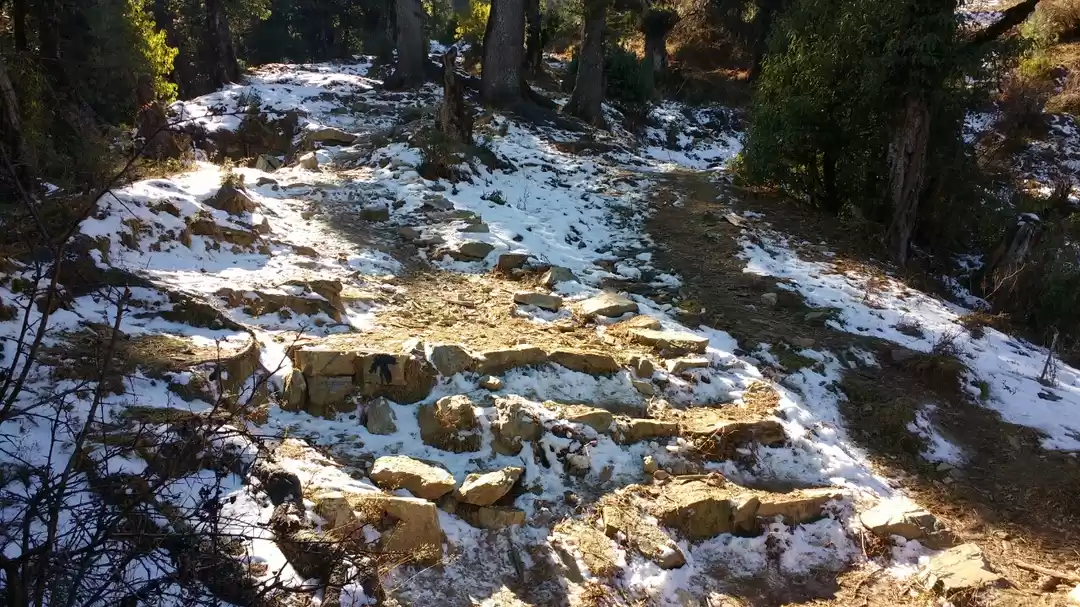 Photo of Into the lap of natu