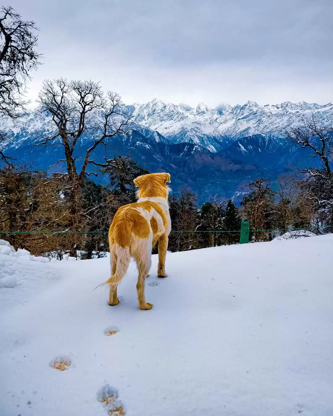 Photo of Nowadays Everyday Fe