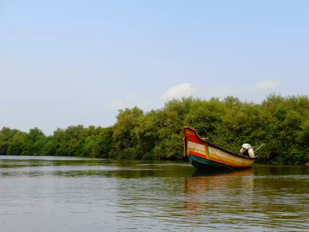 Photo of Coastal India - A we