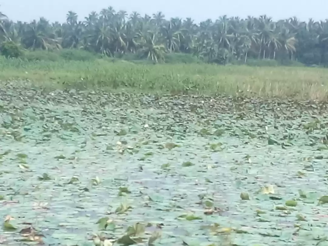 Photo of Back at the waters -