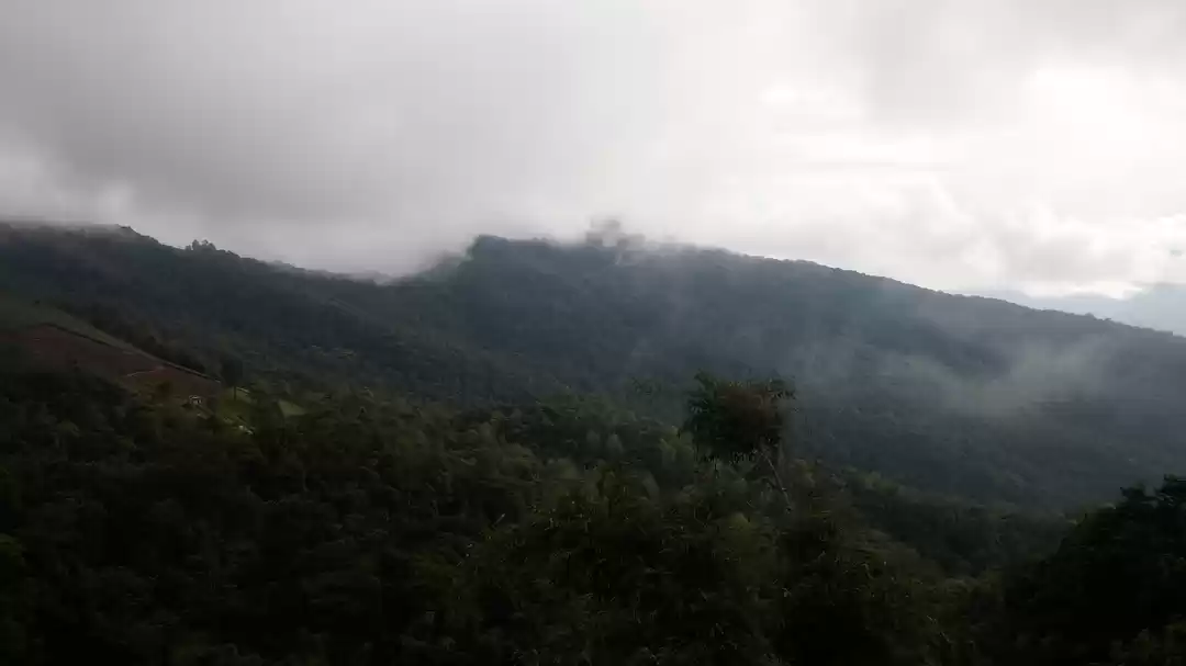 Photo of Phu Chi Fa – A well 