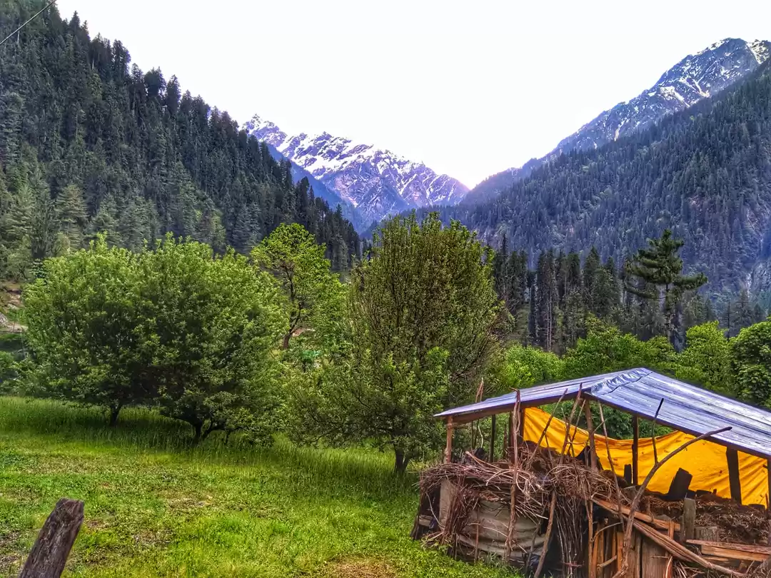 Photo of Journey to an Enchan