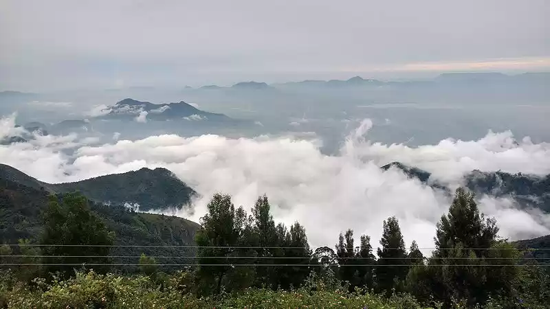 Photo of Soothing Kodaikanal