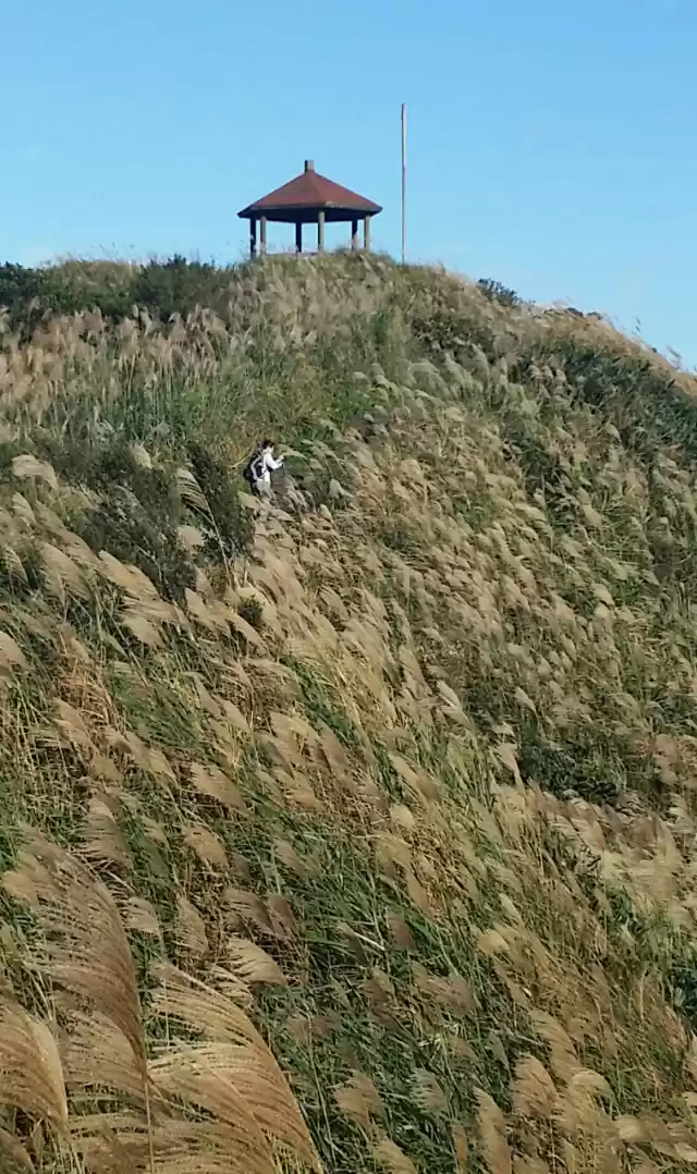 Photo of Taiwan 2014 - Taoyua