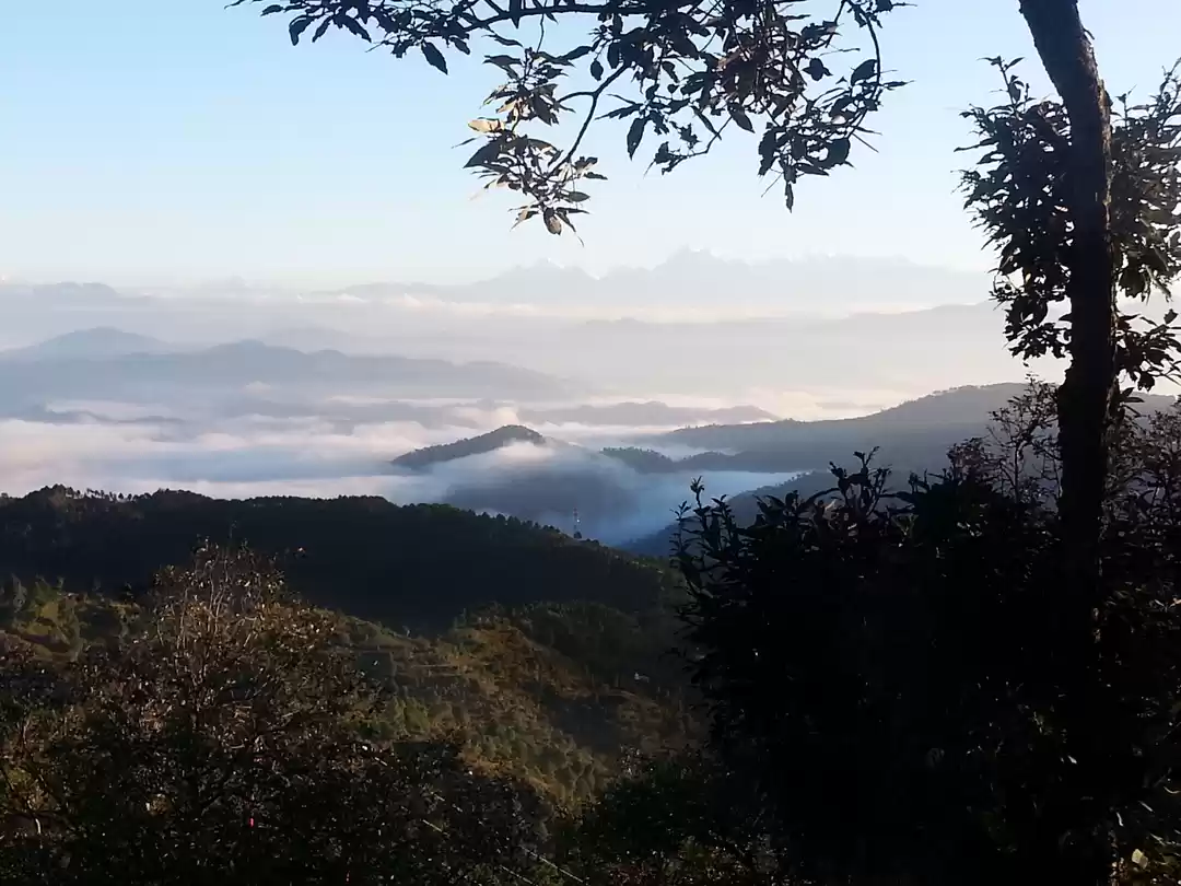 Photo of Essence of Nature Ch