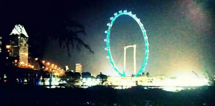 Photo of Where Merlions toe t