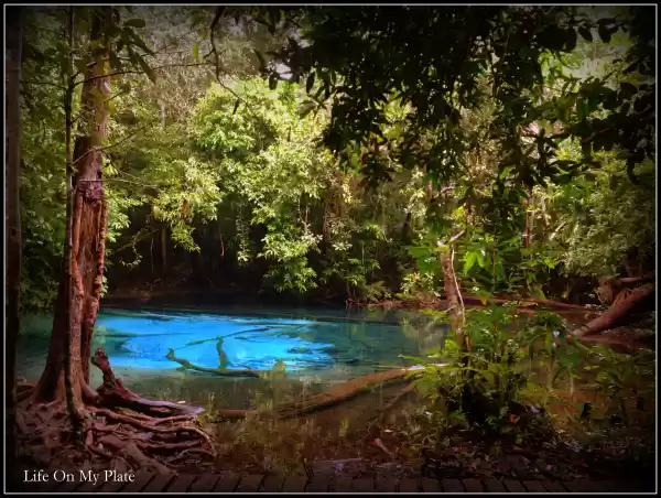 Photo of There’s more to Krab