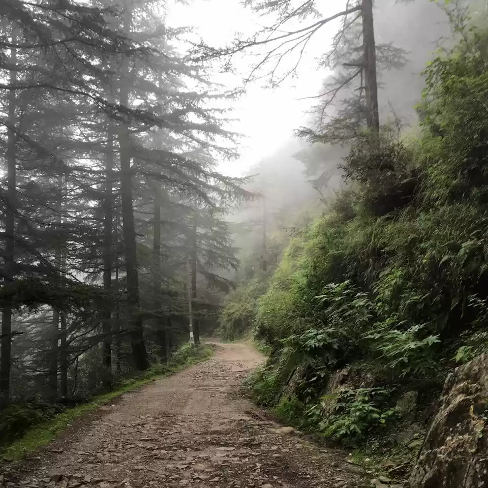 Photo of Dharamshala - Magic 