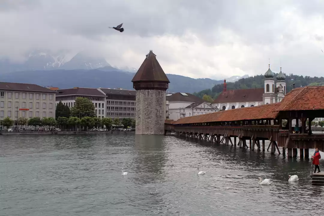 Photo of Switzerland on a bud