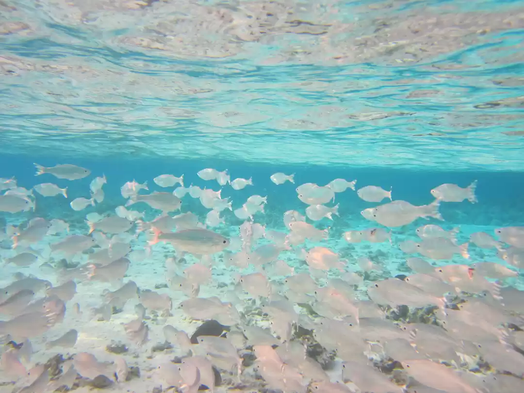 Photo of Planning Maldives???