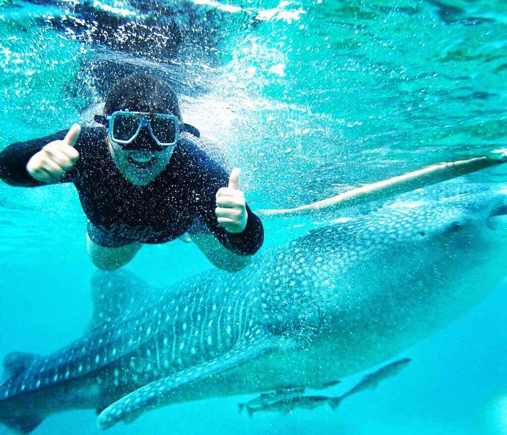 Oslob Cebu Swimming With The Whale