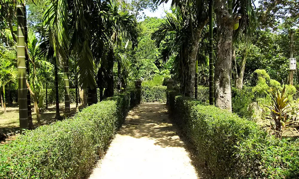 Photo of Hue Tours - Full Day