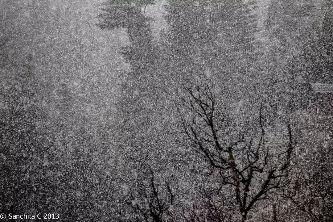 Photo of The Sound of Silence