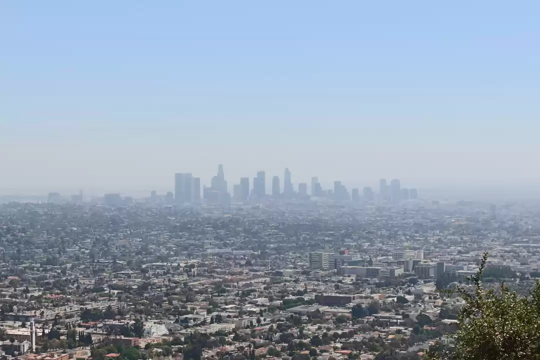 Photo of Tale of 3- Los Angel