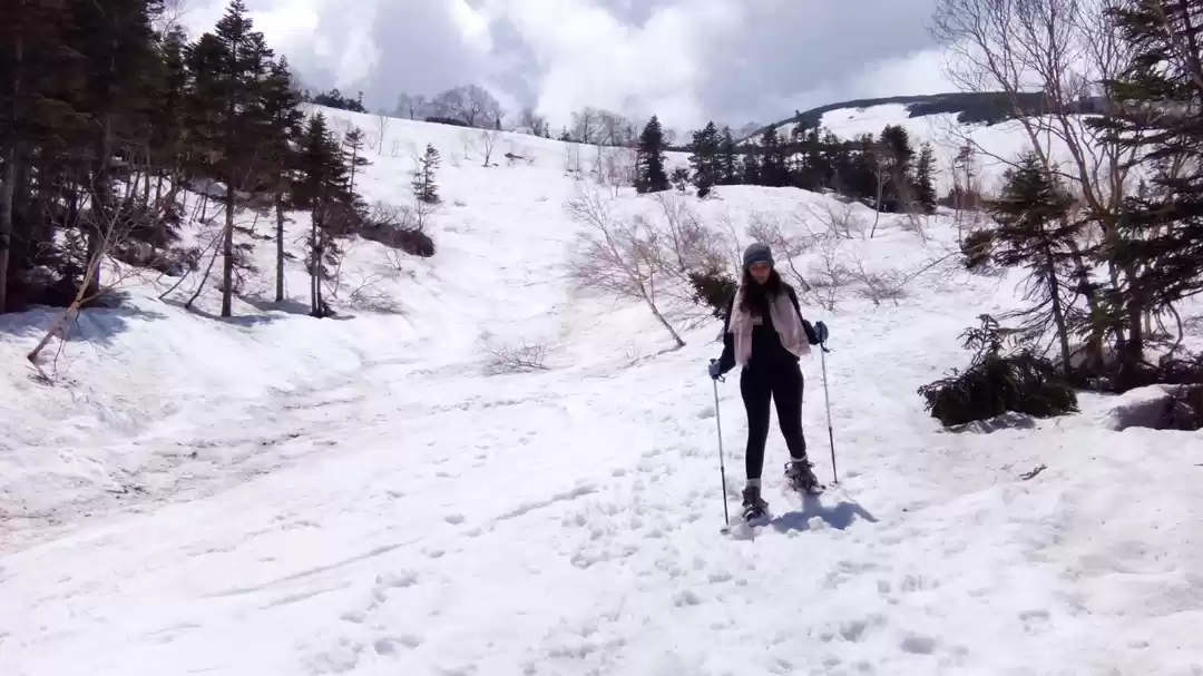 Photo of Japan via Bombay...