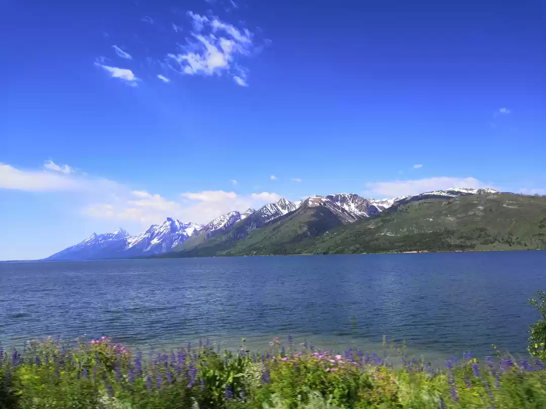 Photo of Grand Teton National