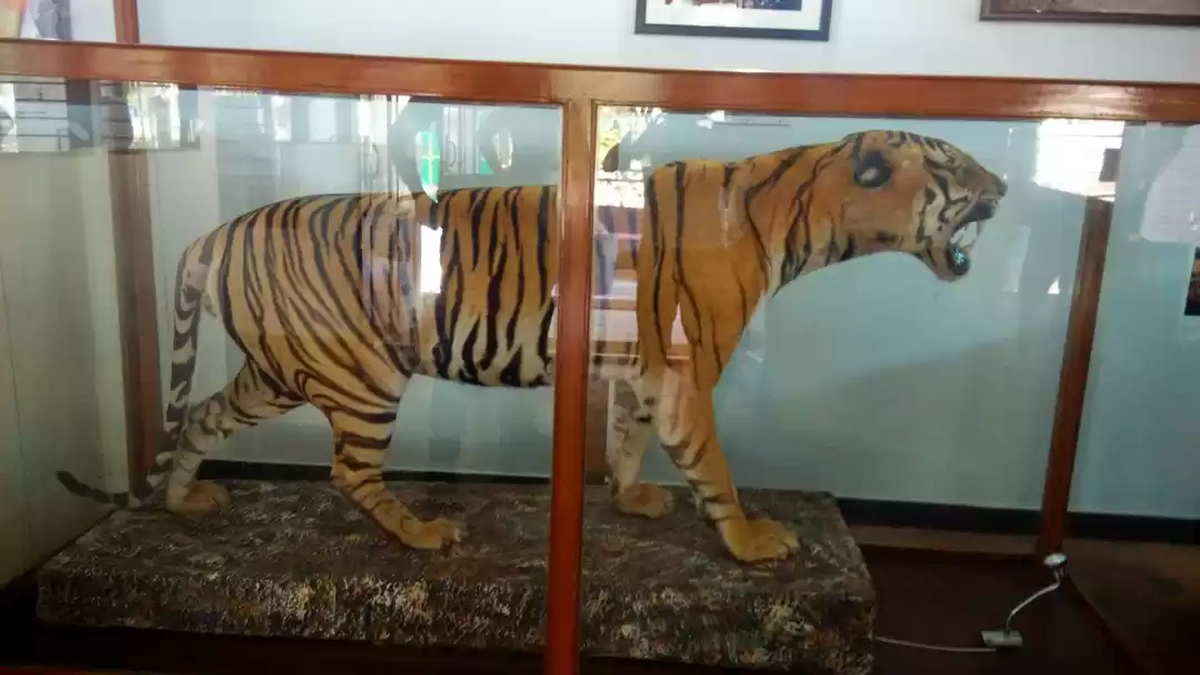 Photo of Muzhappilangad Beach