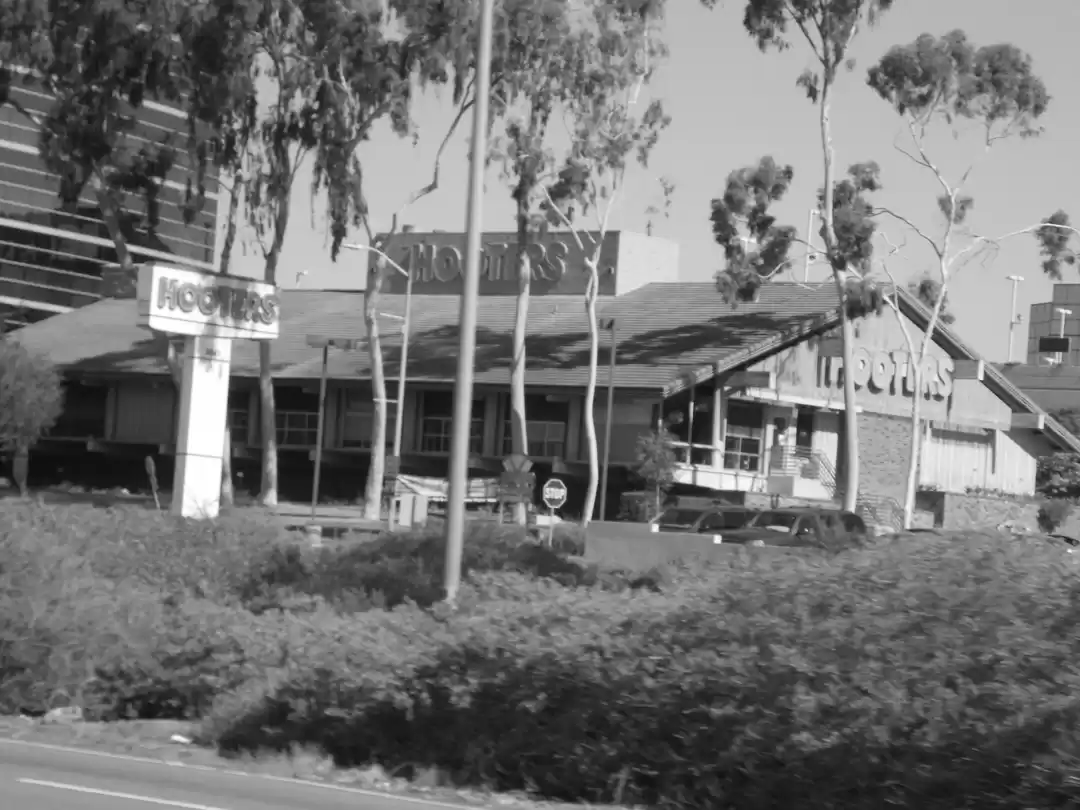 Photo of Solo traveler's guid