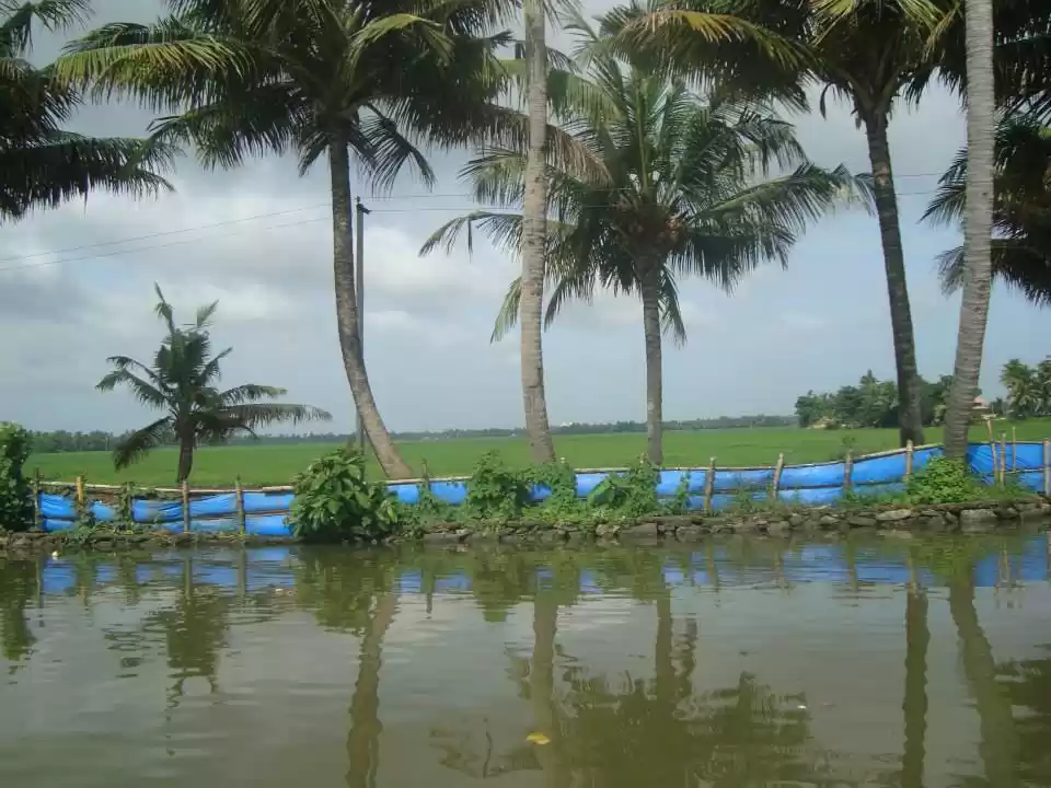 Photo of Kerala, God's own co