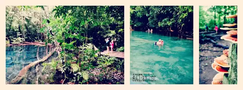 Photo of Krabi with Kids!