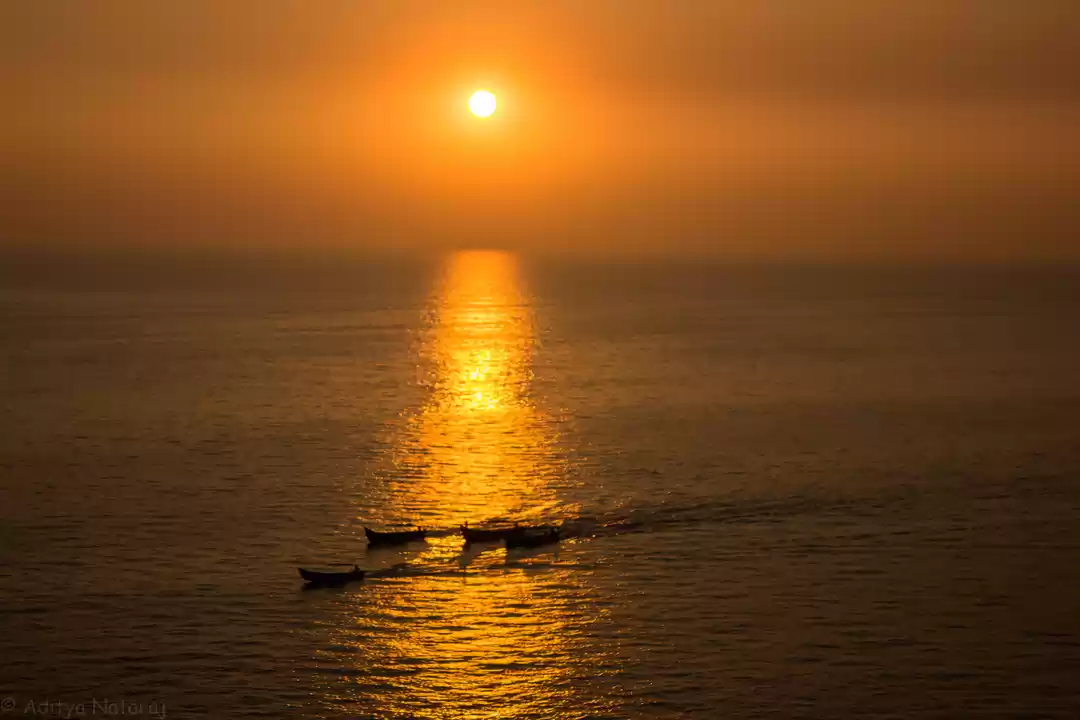 Photo of To beach or not to b