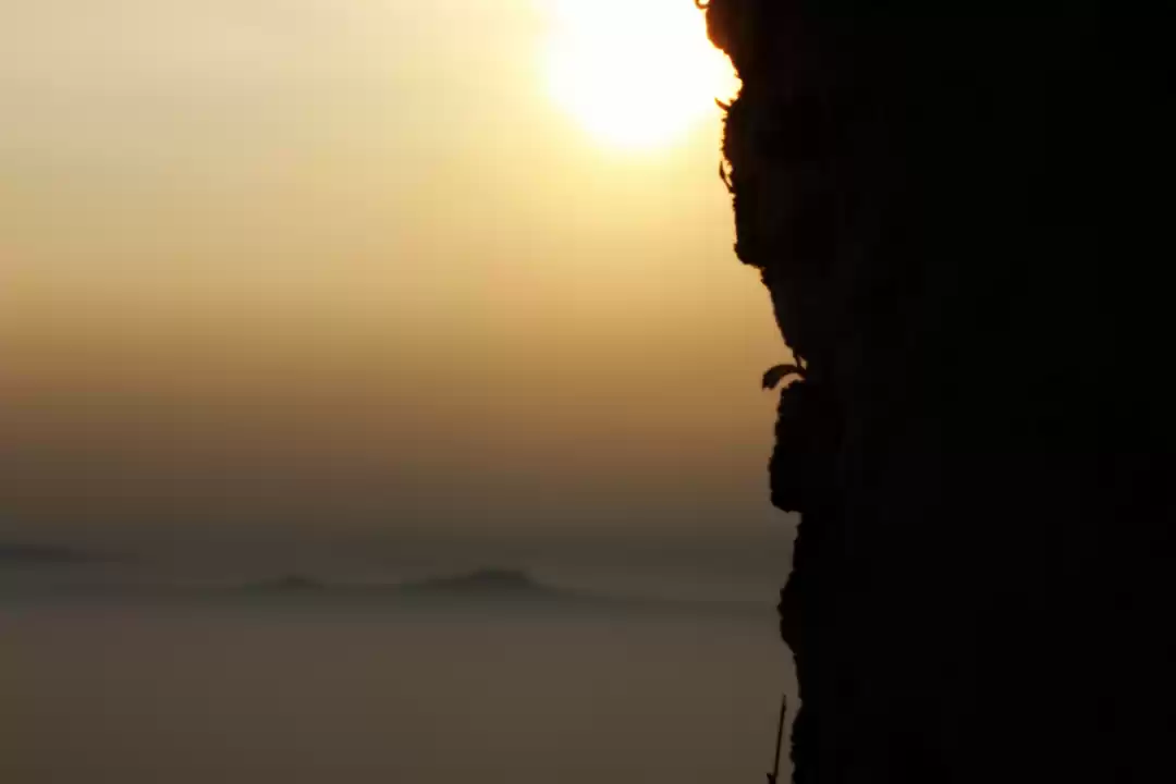 Photo of Matheran - Forest on