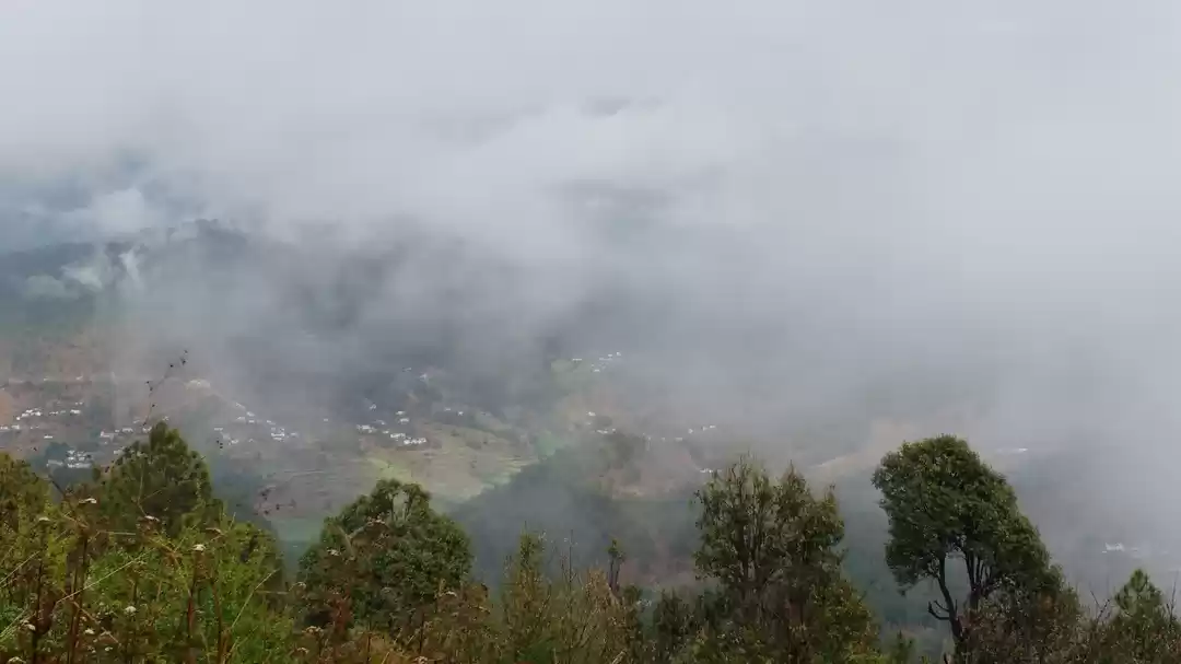 Photo of The joy of missing o