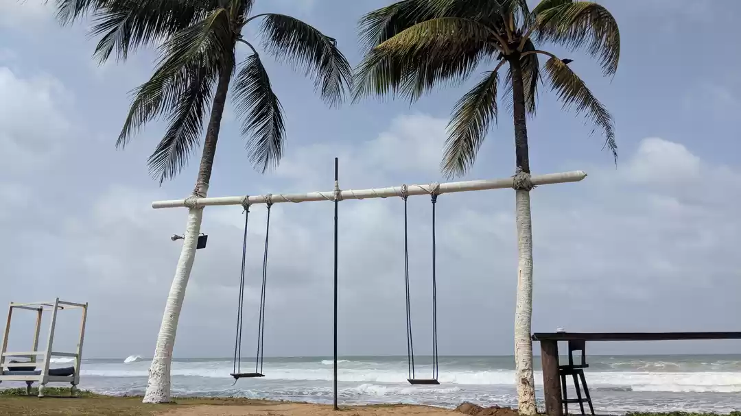 Photo of Feeling 'Susagade' i