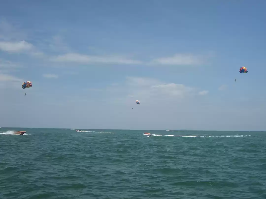 Photo of A Guide to the Highl