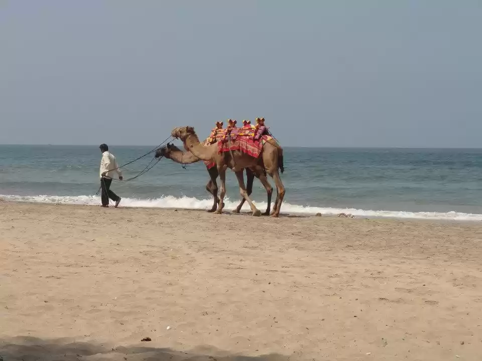 Photo of Ganpatipule- The Kok