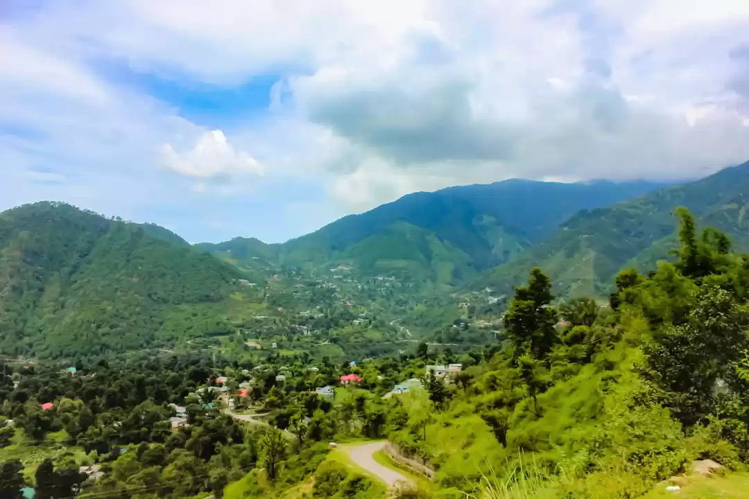 Photo of It's Tea Time High,