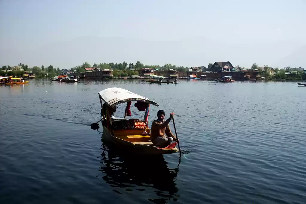 Photo of Unravelling Para Par