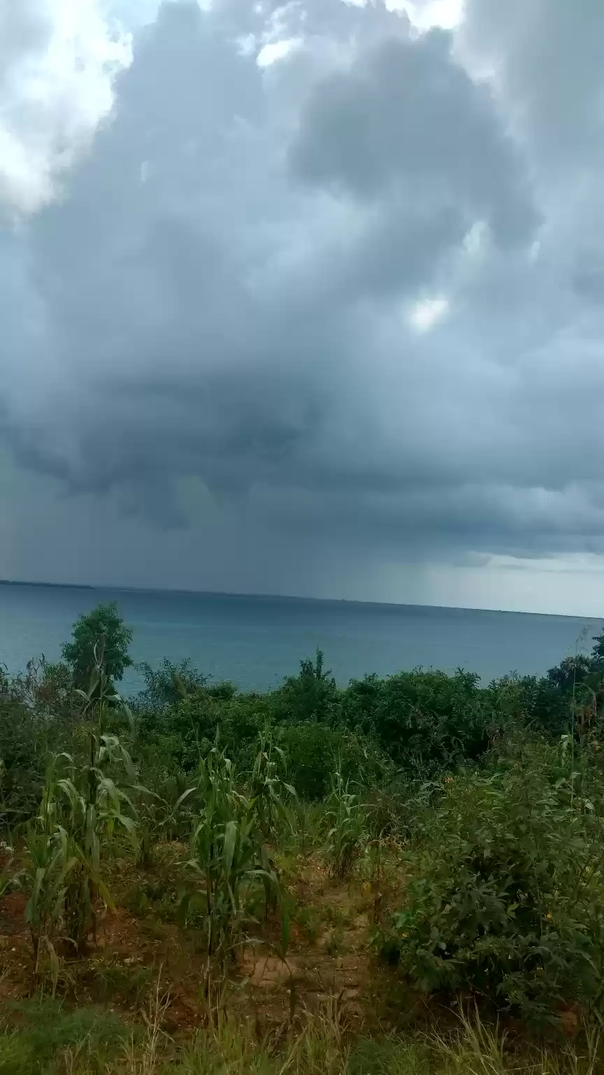 Photo of Zanzibar Adventures