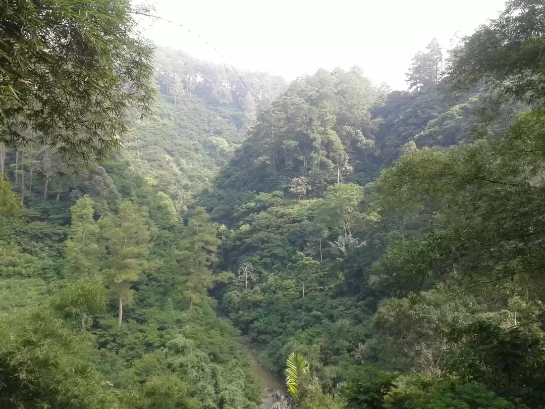 Photo of Hike through the lus