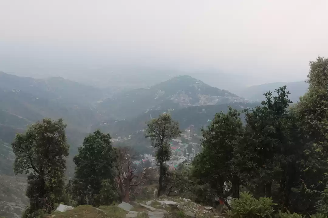 Photo of The Trek that direct