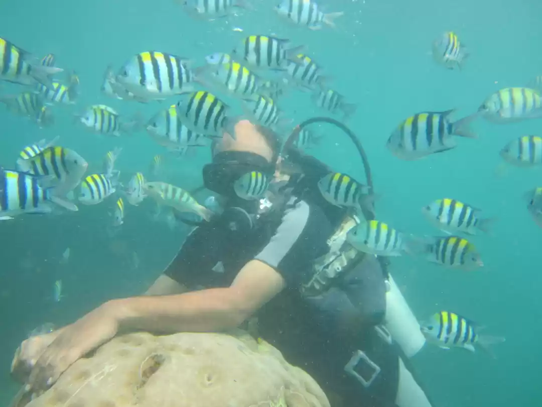 Photo of Scuba-Diving with Pa